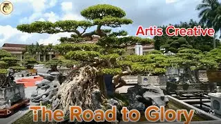 The Glory of the Pathfinder | Influence and Creativity in Bonsai