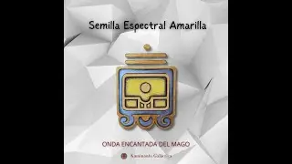 Kin 24: Semilla Espectral Amarilla