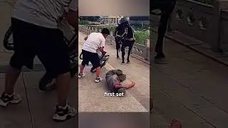 Верный конь находит помощь для своего пожилого хозяина