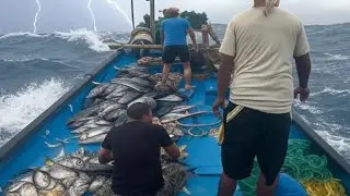 Technical fishing 1 || टेक्निकल फिशिंग 1 || me fisherman
