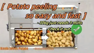 Potato peeling so easy with a industrial potato brush washer peeler machine #frenchfriesmachine