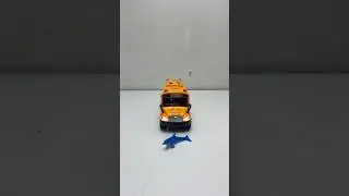 truck saved the dolphin 🐬