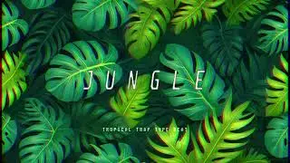 [FREE] Tropical Trap Type Beat - 