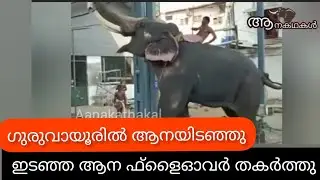 ഗുരുവായൂരിൽ ആനയിടഞ്ഞു, ഇടഞ്ഞ ആന ഫ്ലൈഓവർ തകർത്തു | Guruvayoor elephant attack