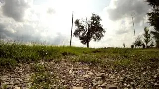 FPV Collection