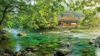 Relaxing River Ambience 🌿 River Sounds, Bird Chirping | Deep Sleep, Medicine, Study