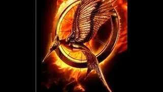 Deusdaecon Reviews : Vlog 22/11/2013 Catching fire