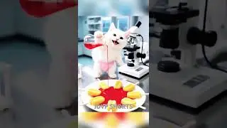 Cat super hero wait for the end#cat #ai #youtubeshorts #jdvp