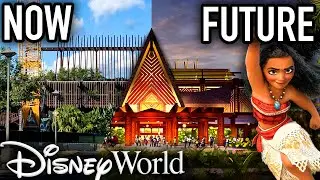 Disney's Polynesian Resort MOANA UPDATE Begins at Walt Disney World!