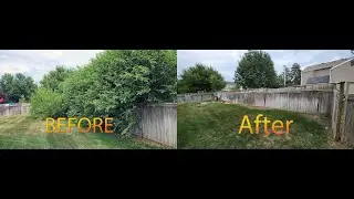 OVERGROWN Fence Line Cleanup