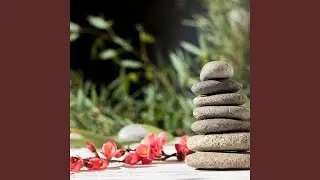 Tranquil Moment