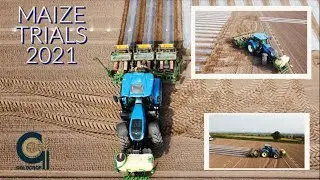 Goldcrop - Maize Trials Cobh 2021