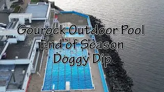 Gourock Outdoor Pool End of Season Doggy Dip!