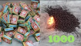 आप देख कर चौक जाएंगे जब 1000 SNAKE BOMBS (सांप की गोलियों) को एक साथ चलाया जाता है