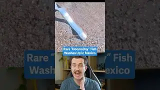 DoomsDay Fish Washes Up In Mexico