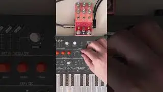 Ambient notes with Chase Bliss Mood + Arturia Microfreak