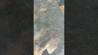 Bullet bomb testing 2024