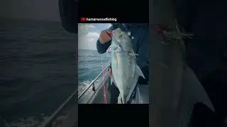Penang charter fishing & jigging. Full video is out! #fishinglife