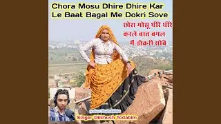 Chora Mosu Dhire Dhire Kar Le Baat Bagal Me Dokri Sove