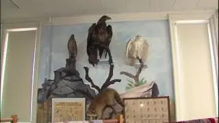 Illinois Stories | Watseka Old Courthouse | WSEC-TV/PBS Watseka