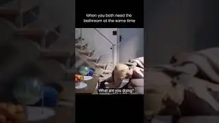 Bai Jingting x Ma Sichun fights over the bathroom #YouAreMyHero #shorts