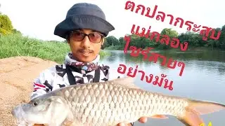 #ตกปลากระสูบ (แม่น้ำแม่กลอง) คันเวท1-4 สายpe0.4 สายหวานต้องดู มันๆเลยครับ