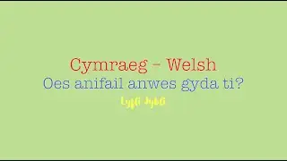 Oes anifail anwes gyda ti? - Welsh song for Second Language Learners