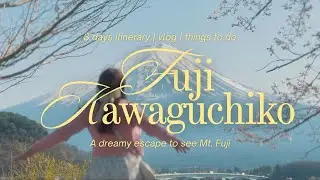 3 Days in Fuji Kawaguchiko | Hidden Spot to Observe Mt Fuji Itinerary | Foods | Japan Travel