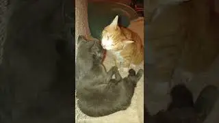 лучший спа-салон