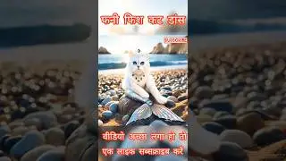 cute cat fish funny dance video || #cat #dance  #trending #short #video #2025 #viral #reels #video