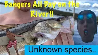 How to catch an Inshore slam in florida on the chaz