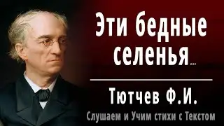 Ф.И. Тютчев 