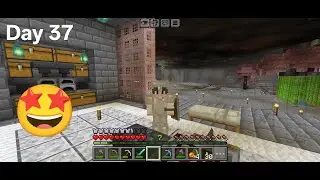 Silk touch pickaxe 🤩 | Day 37 | Minecraft servival series | Dartantrix | #dartantrix #minecraft