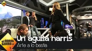 Un águila harris 'atraviesa' a Drew Barrymore y Timothy Olyphant  - El hormiguero 3.0