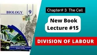 Division of Labour | Class 9 | New Syllabus | Chapter 3 | The Cell