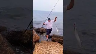 Shore Casting 2025 🥰Lure fishing from the shore #fishing #shorts #short