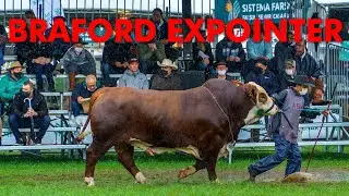 BRAFORD EXPOINTER 2021 - JULGAMENTO MACHOS - TAKES