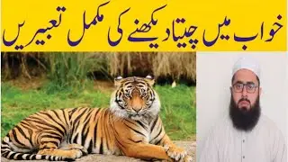 Khwab mein cheetah dekhna | Tiger in dream meaning | خواب میں چیتا دیکھنے کی تعبیر