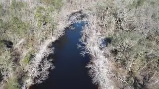 Alapaha River Drone Footage at Naylor Landing