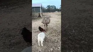 Сегодня наши сердца болят.