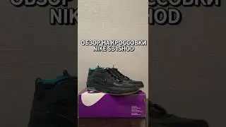ОБЗОР НА КРОССОВКИ NIKE SB ISHOD #poizon #nike #доставка #кроссовки #sneakers #обзор #стиль #рек #sb