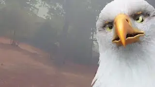 Bird Of The Word