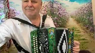 купить гармонь 