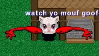 The Graal Era Fashion Show Experience