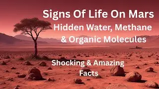 Signs of Life on Mars? Hidden Water, Methane & Organic Molecules |  Puzzling Methane Spikes | Spark