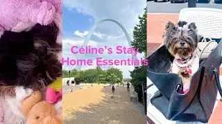 C&eacute;line&rsquo;s Stay at Home Essentials | Puppy Sitting | Dog Vacation Items | C&eacute;line + Me