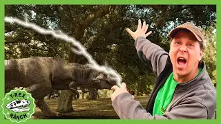 Fossil Mystery - Follow the Clues | @TrexRanch | NEW Superhero Cartoon for Kids | Moonbug Kids