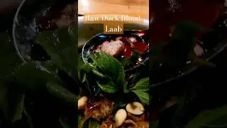 RAW duck blood laab salad, Laos Isan speciality #laos #isanfood #thailand #duck