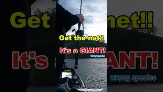 FIRST CAST of the Tournament&hellip; We Thought It Was a GIANT #bassfishing #fishingshorts #onemorebass