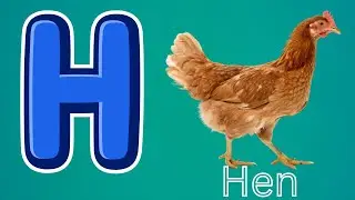 Lear H Words with Meow Meow English| Hand | Hen | House| Hut